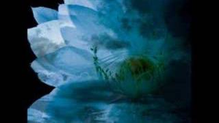 Rosier (Cover) - High and Mighty Color