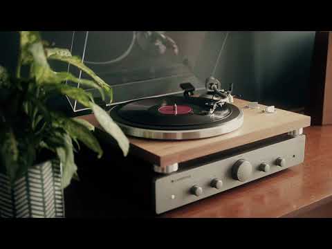 Frankie Carle And His Orchestra - Unless It Can Happen With You