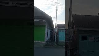 Download lagu Pagi yang cerah!!Pekalongan kota santri#shorts#kotabatik#kampunghalaman mp3 Download lagu Pagi yang cerah!!Pekalongan kota santri#shorts#kotabatik#kampunghalaman mp3