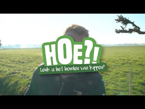 Hoe leuk is het houden van kippen? | HOE?! | Welkoop