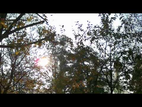 rampue - Sonne, Park und Sterni