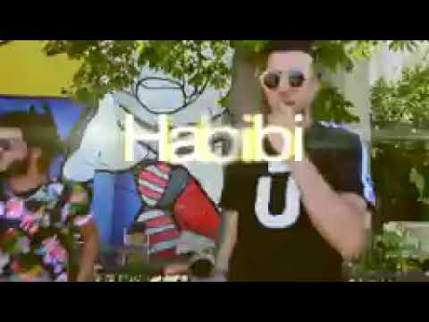 Sanfara ft Mr CHIPO _ HABIBI Officiel