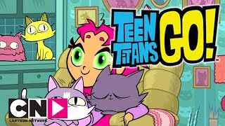 Teen Titans Go | Apreciadora de gatos | Cartoon Network