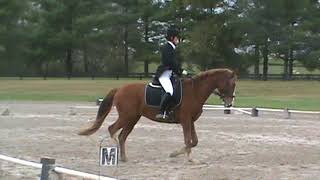 Roosevelt Intro C, 72.8%