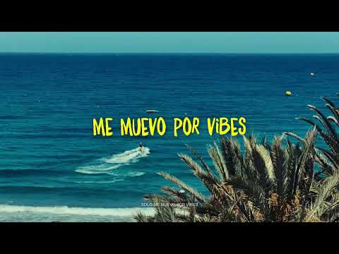B10 - Me muevo por vibes (Visualizer)