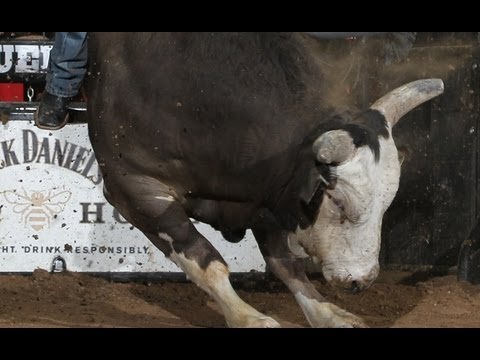 WRECK: Chris Shivers hit hard by Jack Daniel's After Party