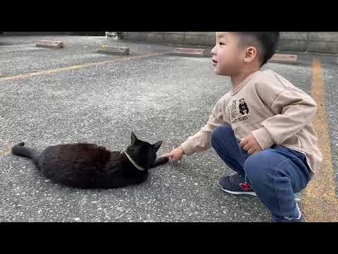 こども学科 【成長記録】7歳の猫クロと。2023.5.26