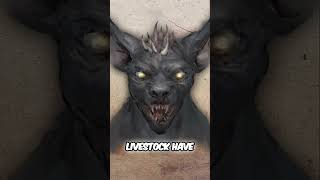 The Chupacabra Explained: Myth or Misidentified Animal?