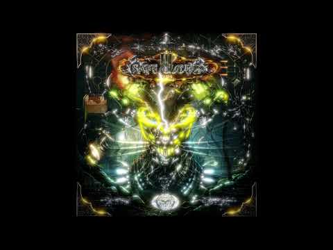 DER SCHAFFNER - A Donkey Saved My Life [SCT006]