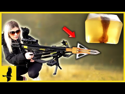 Wie viel POWER hat eine 185 lbs ARMBRUST? - Ballistische Gelantine VS. EK Archery Accelerator