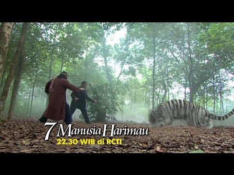 7 TIGER MEN: When two white tigers fight their enemy