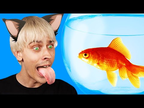 GDYBY LUDZIE ZACHOWYWALI SIĘ JAK ŚMIESZNE KOTY | MOJA REAKCJA NA LaLaLajf