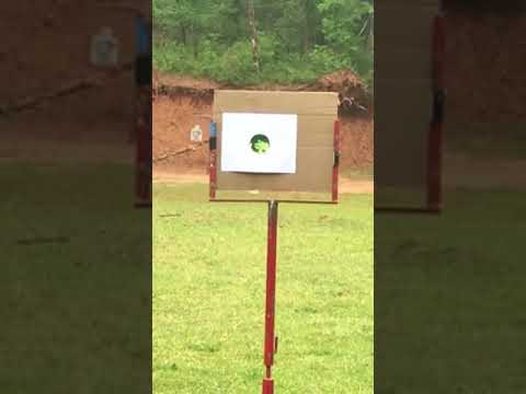 Crimson Trace CTS 103 or MDW Review Fire Someone