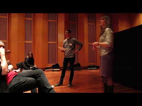 The Oslo Hardanger Fiddle Blindtest