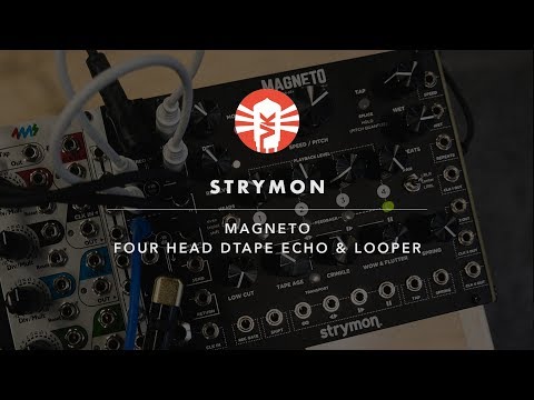 Strymon Magneto | Modular Synthesizer | Vintage King