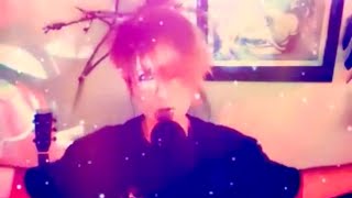 No Horse - The Dead Weather (2010) cover