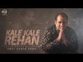 Rog Pyar De Dila Nu Je Na Laye Rahat Fateh Ali Khan Latest Punjabi Song