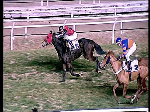 Galoppo 26/01/2019 - 8ª corsa - TRIS