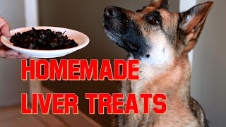 How to Make Home Made Liver Treats for Your Dog