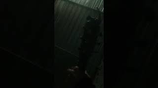 Download lagu Aftershine Ft. Damara De - Ora Iso Lali||Cover (Story Wa) #Shorts mp3