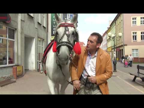 Bogdan Trojanek & Terne Roma - Oj Macijom (Oficjalny teledysk)