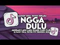 DJ NGGA DULU JANGAN LAGI LAGI KAMU CARI CARI SLOW VIRAL TIKTOK FULL SONG MAMAN FVNDY 2025