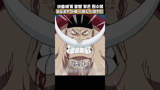 흰수염의 외침 바보같은 아들 그럼에도 사랑한다!!