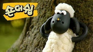 Download lagu 벌떼가 나타났다 - 숀 더쉽 [Shaun the Sheep Korea | Full Episode] mp3