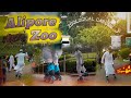 Kolkata Alipore Zoo Skating Vlog.🔥