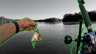 Every Anglers Dream Fishing Trip