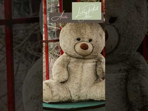 Magischer Teddy- Geschichten in Liedern von Anela 