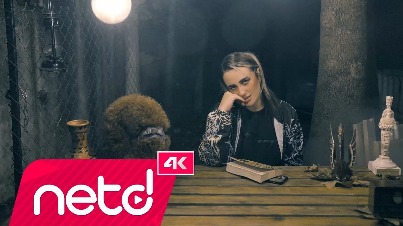 Gamze Aşık - Panzehir