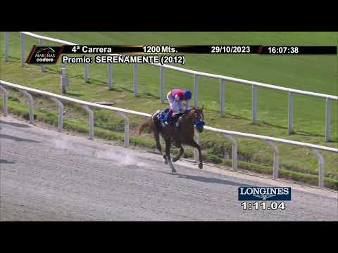 231029 c04 MAREMOTO (BRZ)