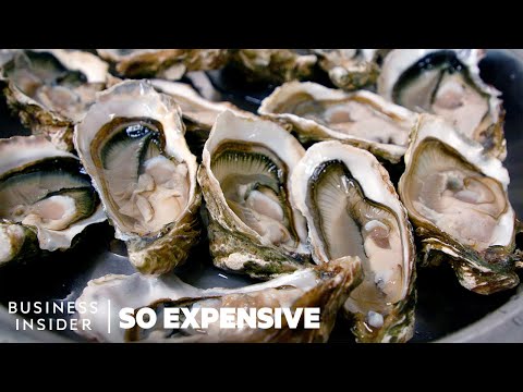 【動物】200 年前的生蠔比現在更夯?!生蠔為什麼這麼貴? (Why Oysters Are So Expensive | So Expensive)