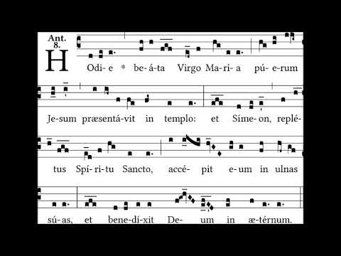 Hodie Beata Virgo Maria - ant. ad Magnif. II Vesperas In Purificatione B  Mariae Virginis