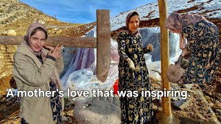 Download lagu A Mother’s Love: Building a Shelter for Her Unborn Baby mp3