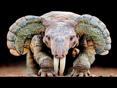These Creatures Dominated The Earth After The Dinosaurs | Full Documentary