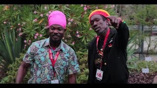 Inna De Yard : Kush McAnuff & Alphonso Craig-Jingle for Reggae-Unite Blog (22/07/2017) .