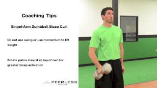 396. Single Arm Dumbbell Bicep Curl