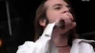 Selig - Ist es wichtig (live)