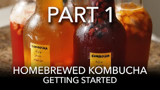 Homebrewed Kombucha | Part 1 | Getting Started