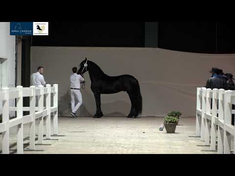 KFPS Eerste Bezichtiging HK2021 dinsdag deel II – 8 december