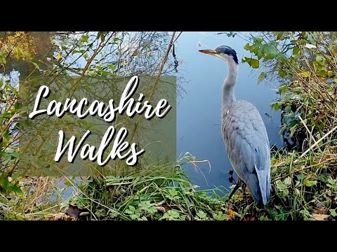 Lancashire Walks | Wandering around Lancaster | Lancaster University  HD 1080p