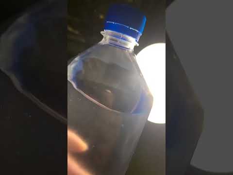 FIJI Water - Water
