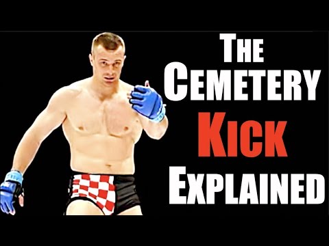 Mirko Cro Cop - A Legend Retires |Insane High Kick Technique Breakdown