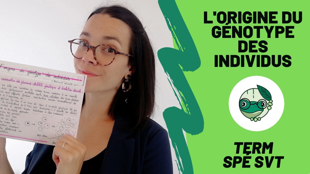 L'origine du génotype des individus - Term spé SVT - Madame SVT