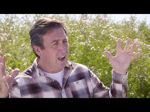 The Garden Gurus - Geraldton Wax Flowers