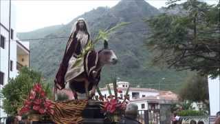 preview picture of video 'Procesión de las Palmas - Los Silos 2015'
