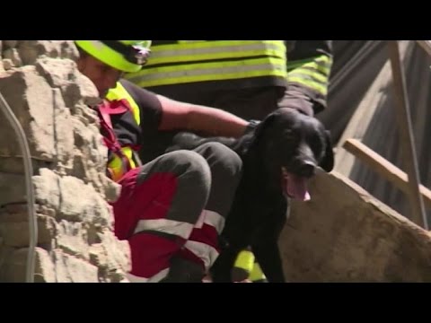 Sisma in Centro-Italia: come sempre unità cinofile in prima fila