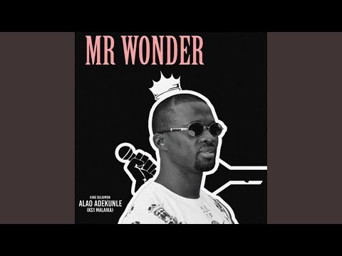 Mr Wonder